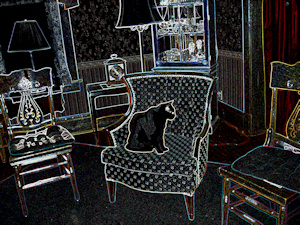 Frozen in Time - Liz  Bennefeld photo